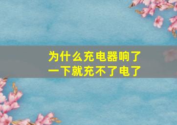 为什么充电器响了一下就充不了电了