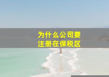 为什么公司要注册在保税区