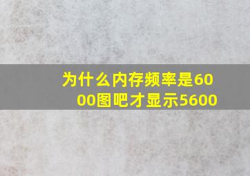 为什么内存频率是6000图吧才显示5600