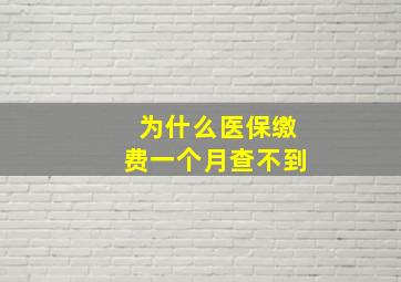 为什么医保缴费一个月查不到