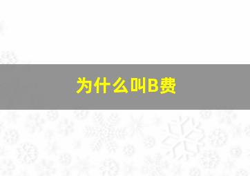 为什么叫B费