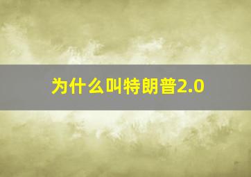 为什么叫特朗普2.0