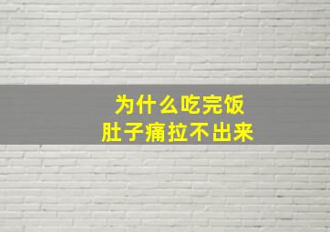 为什么吃完饭肚子痛拉不出来