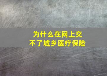 为什么在网上交不了城乡医疗保险