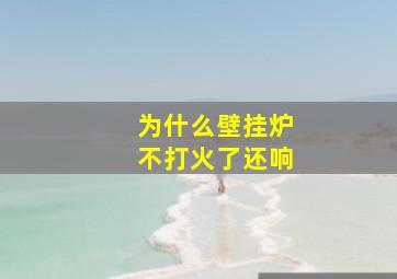 为什么壁挂炉不打火了还响