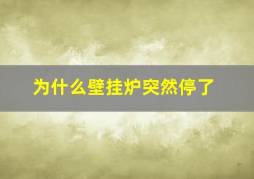 为什么壁挂炉突然停了