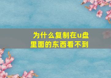 为什么复制在u盘里面的东西看不到