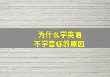 为什么学英语不学音标的原因