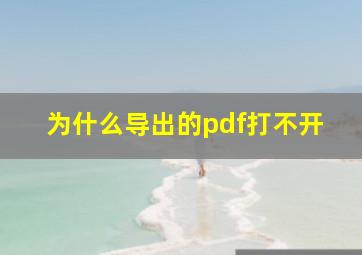 为什么导出的pdf打不开