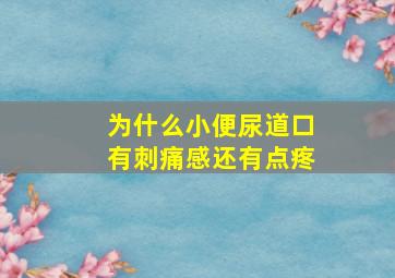 为什么小便尿道口有刺痛感还有点疼