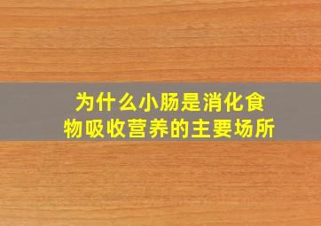 为什么小肠是消化食物吸收营养的主要场所