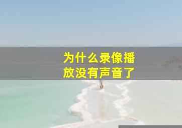 为什么录像播放没有声音了