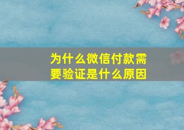 为什么微信付款需要验证是什么原因