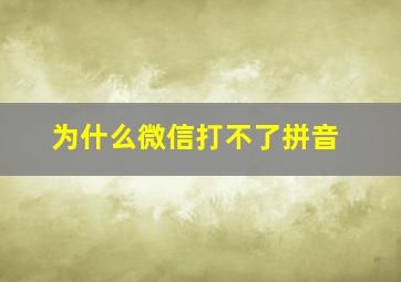 为什么微信打不了拼音