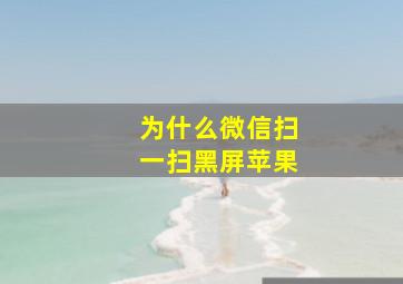 为什么微信扫一扫黑屏苹果