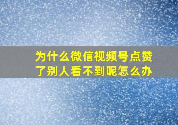 为什么微信视频号点赞了别人看不到呢怎么办