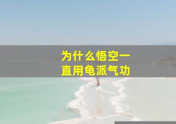 为什么悟空一直用龟派气功