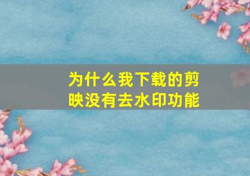 为什么我下载的剪映没有去水印功能