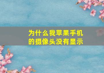 为什么我苹果手机的摄像头没有显示