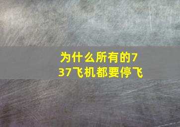 为什么所有的737飞机都要停飞