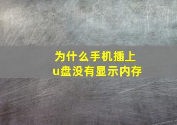 为什么手机插上u盘没有显示内存