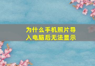 为什么手机照片导入电脑后无法显示