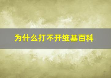 为什么打不开维基百科