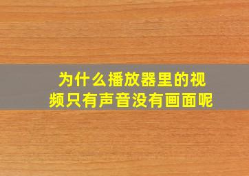 为什么播放器里的视频只有声音没有画面呢