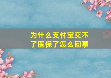 为什么支付宝交不了医保了怎么回事