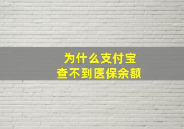 为什么支付宝查不到医保余额