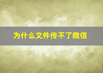 为什么文件传不了微信