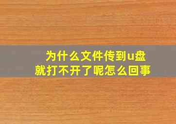 为什么文件传到u盘就打不开了呢怎么回事