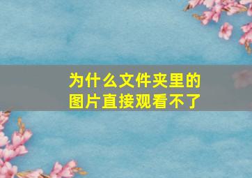 为什么文件夹里的图片直接观看不了