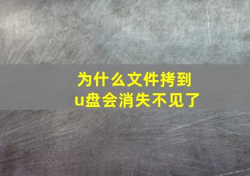 为什么文件拷到u盘会消失不见了