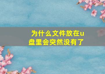 为什么文件放在u盘里会突然没有了