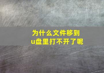 为什么文件移到u盘里打不开了呢