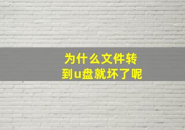 为什么文件转到u盘就坏了呢