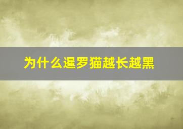 为什么暹罗猫越长越黑