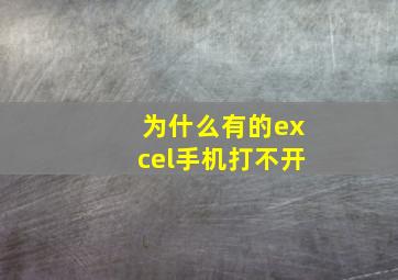 为什么有的excel手机打不开