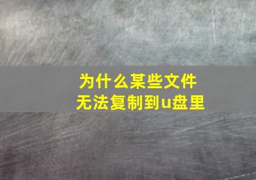 为什么某些文件无法复制到u盘里