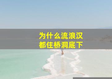 为什么流浪汉都住桥洞底下