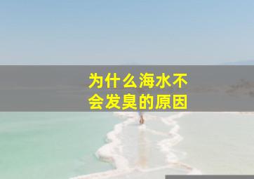 为什么海水不会发臭的原因