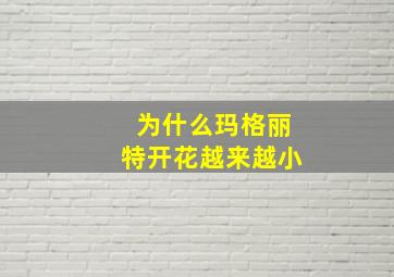 为什么玛格丽特开花越来越小