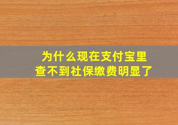 为什么现在支付宝里查不到社保缴费明显了