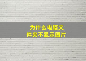 为什么电脑文件夹不显示图片