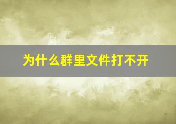 为什么群里文件打不开