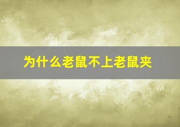 为什么老鼠不上老鼠夹