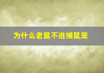 为什么老鼠不进捕鼠笼