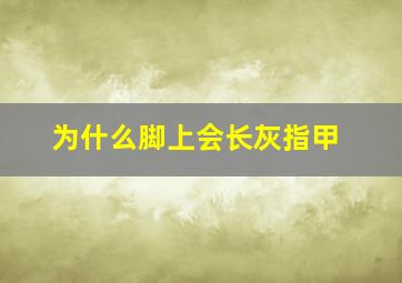 为什么脚上会长灰指甲