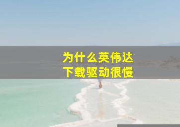 为什么英伟达下载驱动很慢